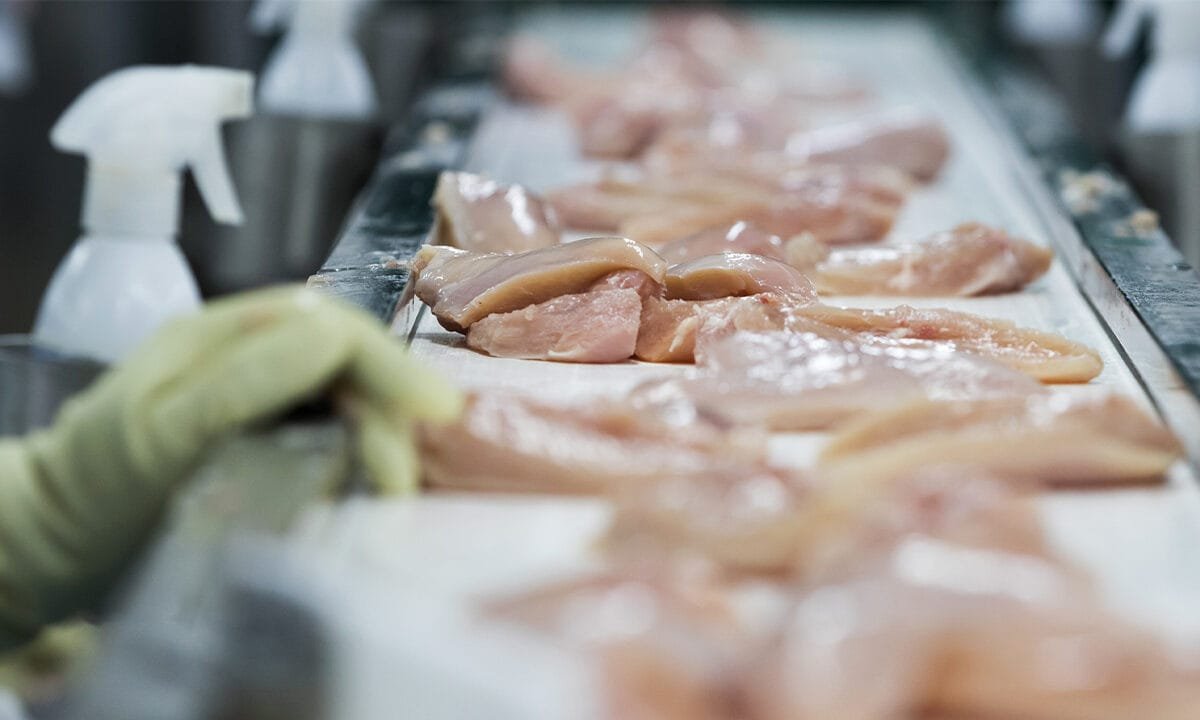 Hormel recalls 4.9M pounds of chicken possibly ‘contaminated with pieces of metal’