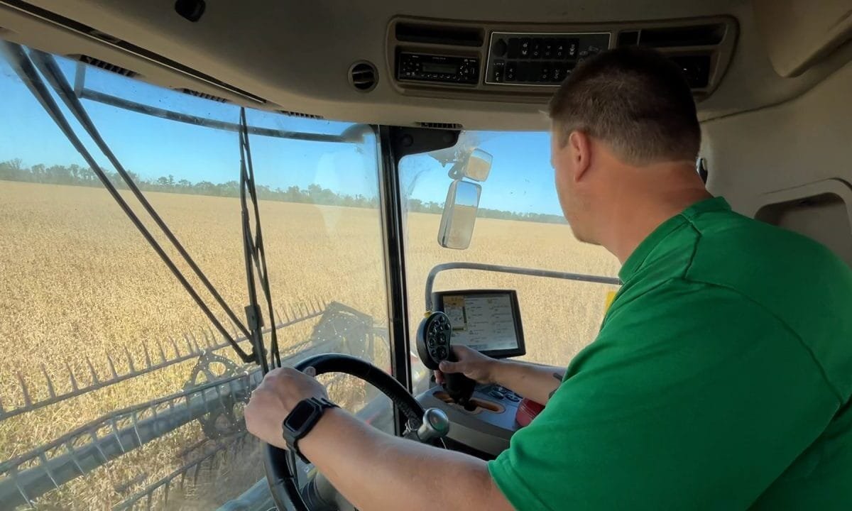 China trade freeze squeezes US soybean farmers as costs climb, profits vanish