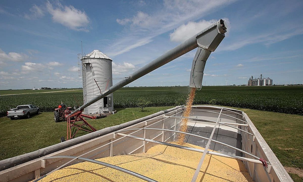 Trump calls China soybean cuts ‘economically hostile’ act against American farmers nationwide