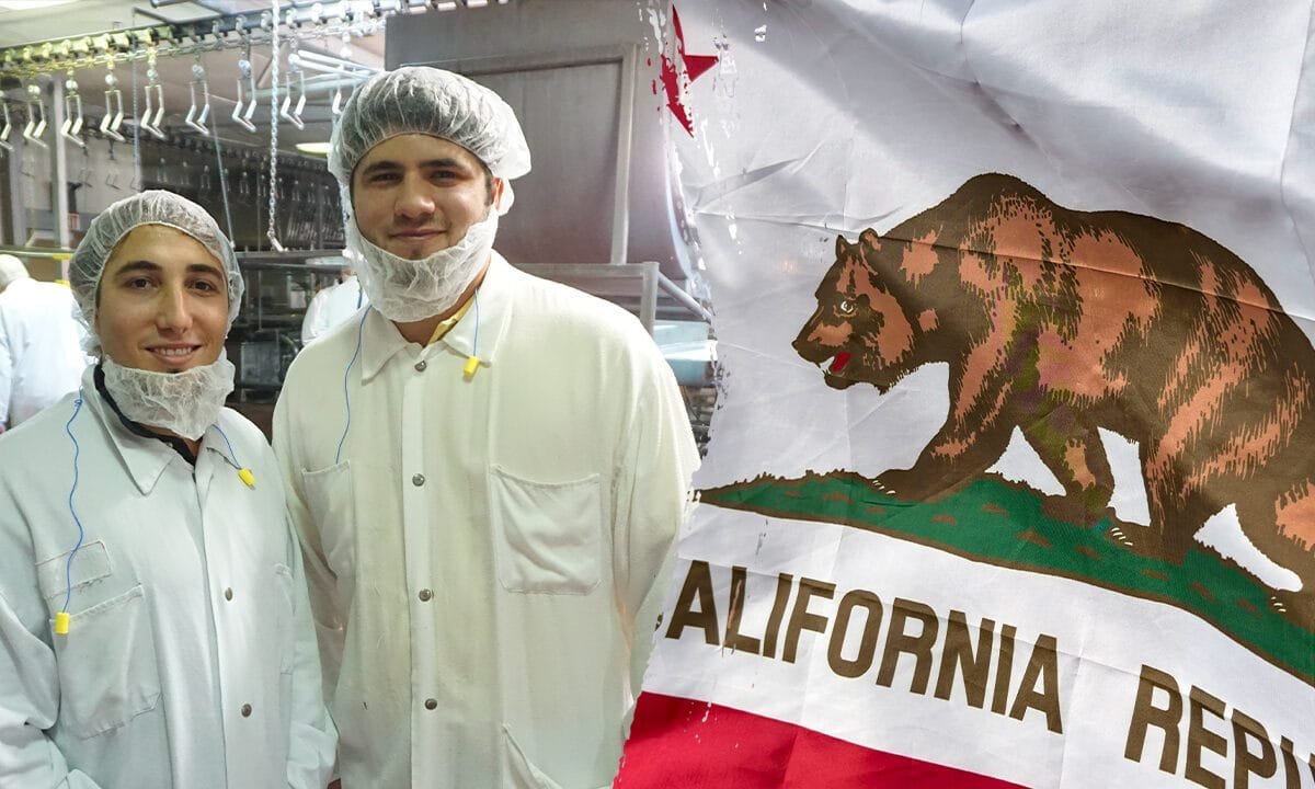 Businessman-turned-gubernatorial candidate reveals how Dem regulations destroyed his family’s company