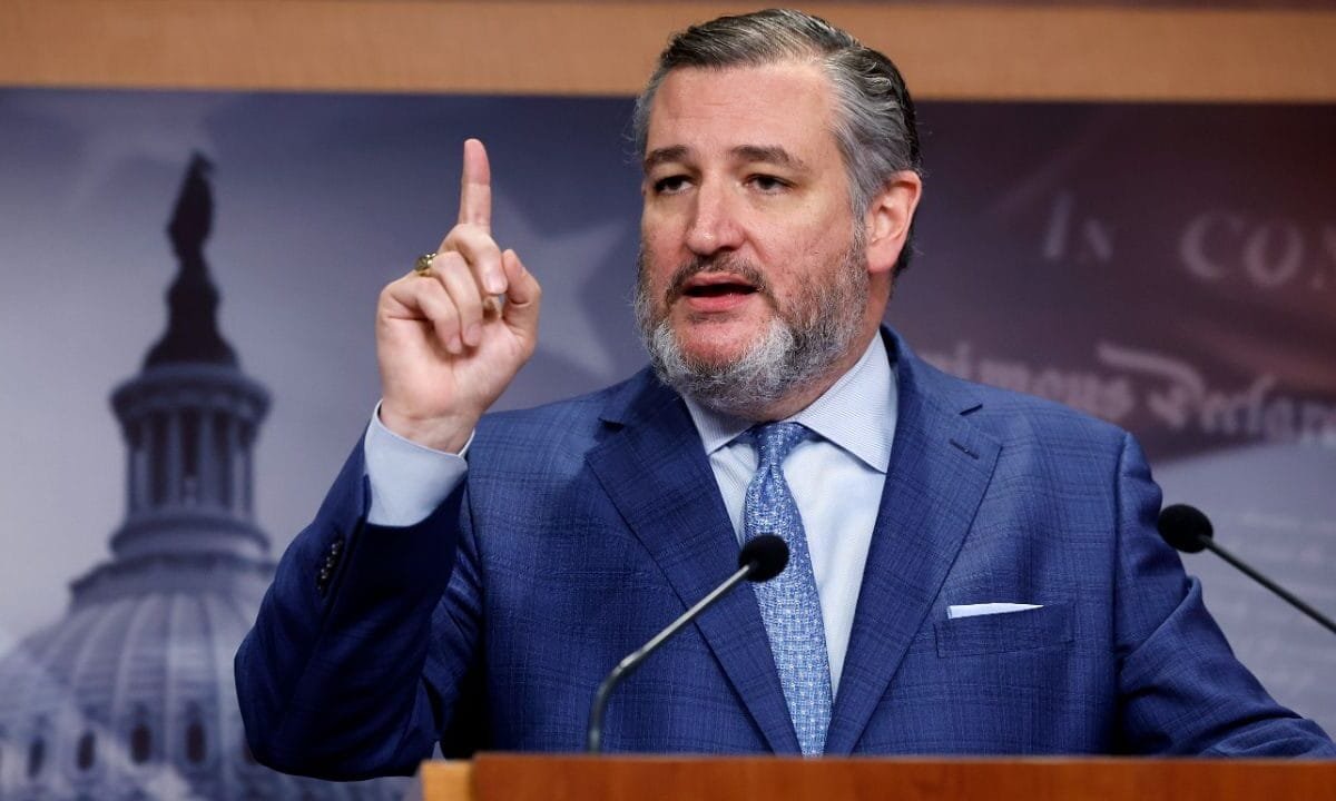 Ted Cruz says the Dem Party is embroiled in ‘civil war’ after ‘radical left’ takeover