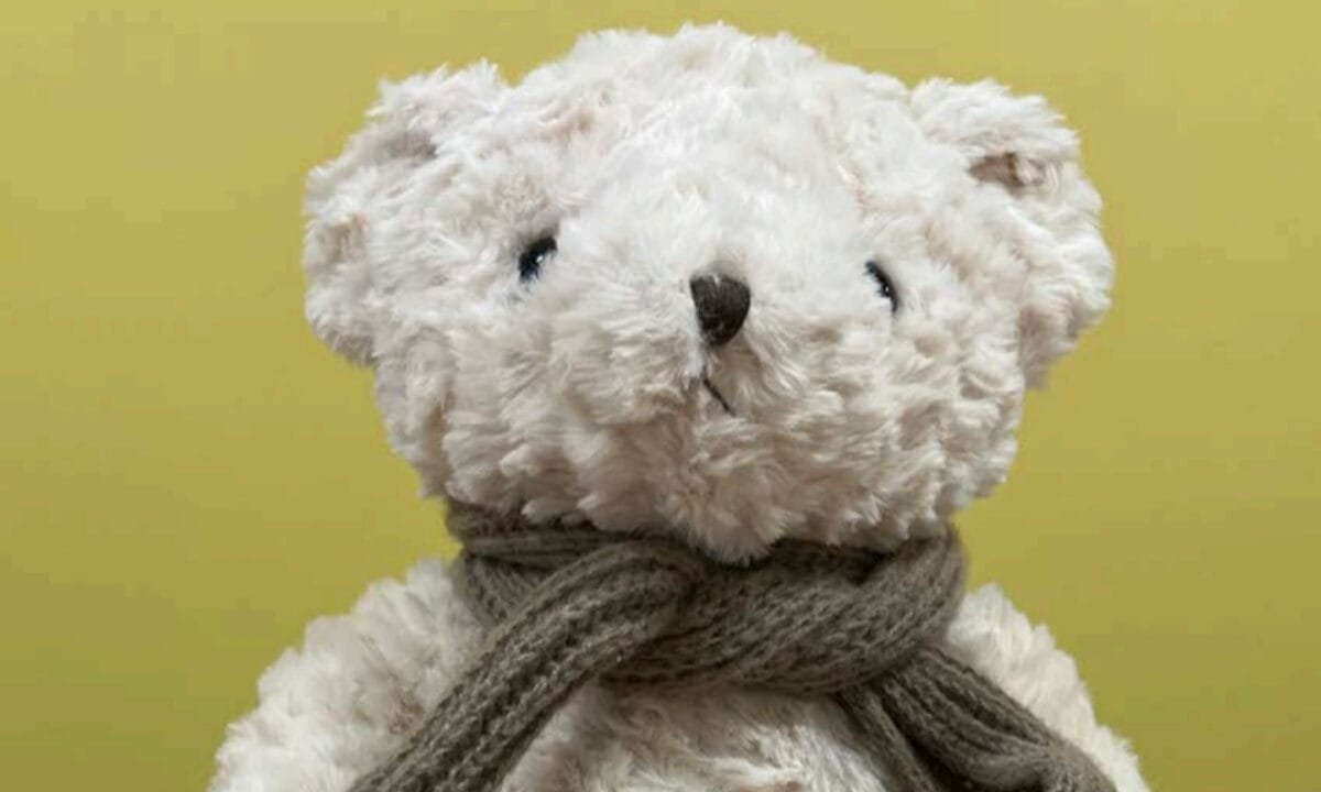 Watchdog group warns AI teddy bear discusses sexually explicit content, dangerous activities