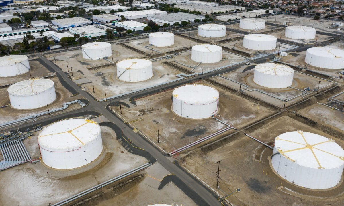 US crude oil stockpiles rise as production hits record