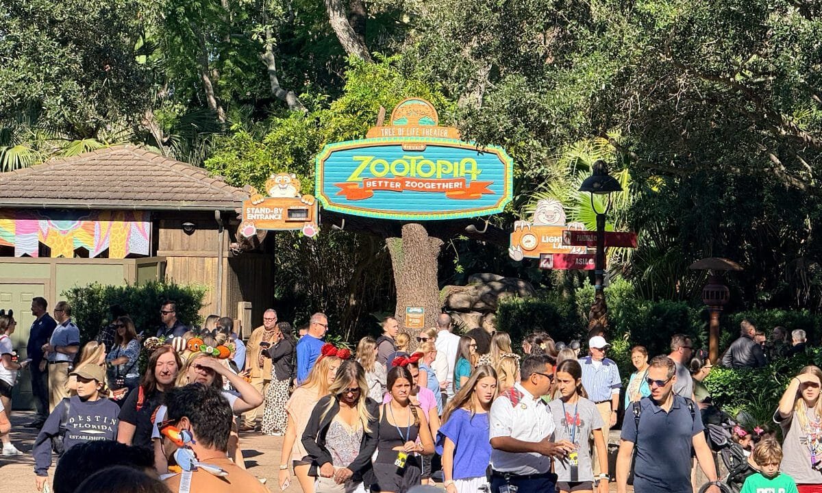 Disney unveils new show in park undergoing massive transformation