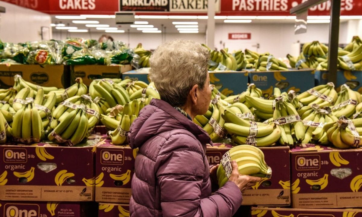 Inflation remained elevated in November as Fed considers pausing interest rate cuts