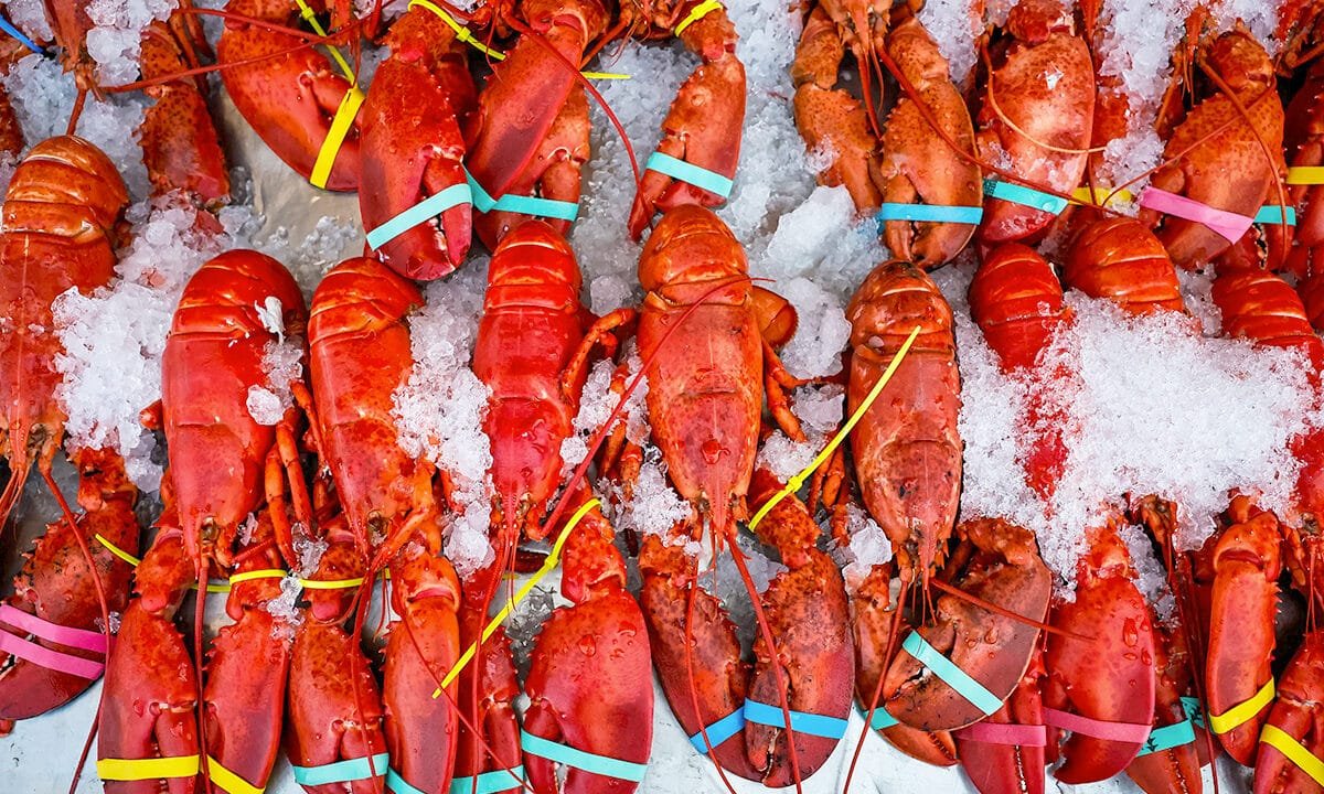 $400k shipment of live lobsters hijacked en route to Midwest Costco locations