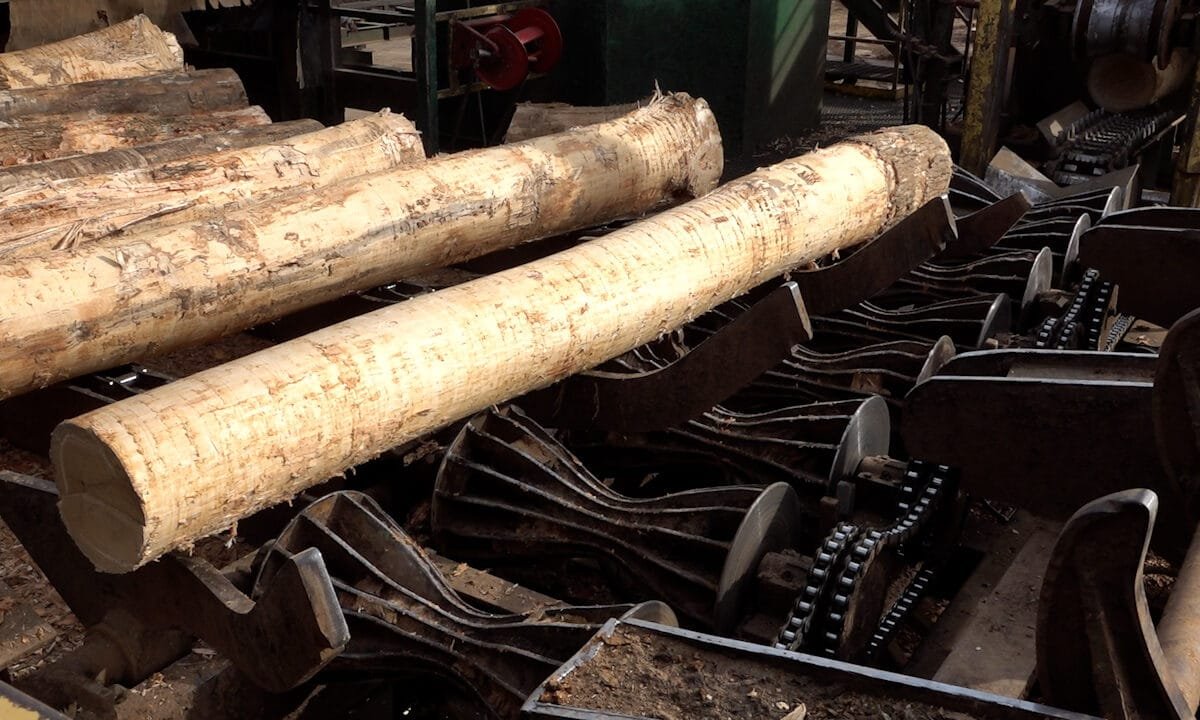 US sawmills warn of accelerating closures as tariffs, weak demand squeeze industry