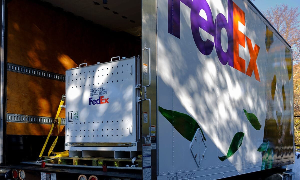 FedEx sues Trump administration for full tariff refunds after Supreme Court ruling on IEEPA