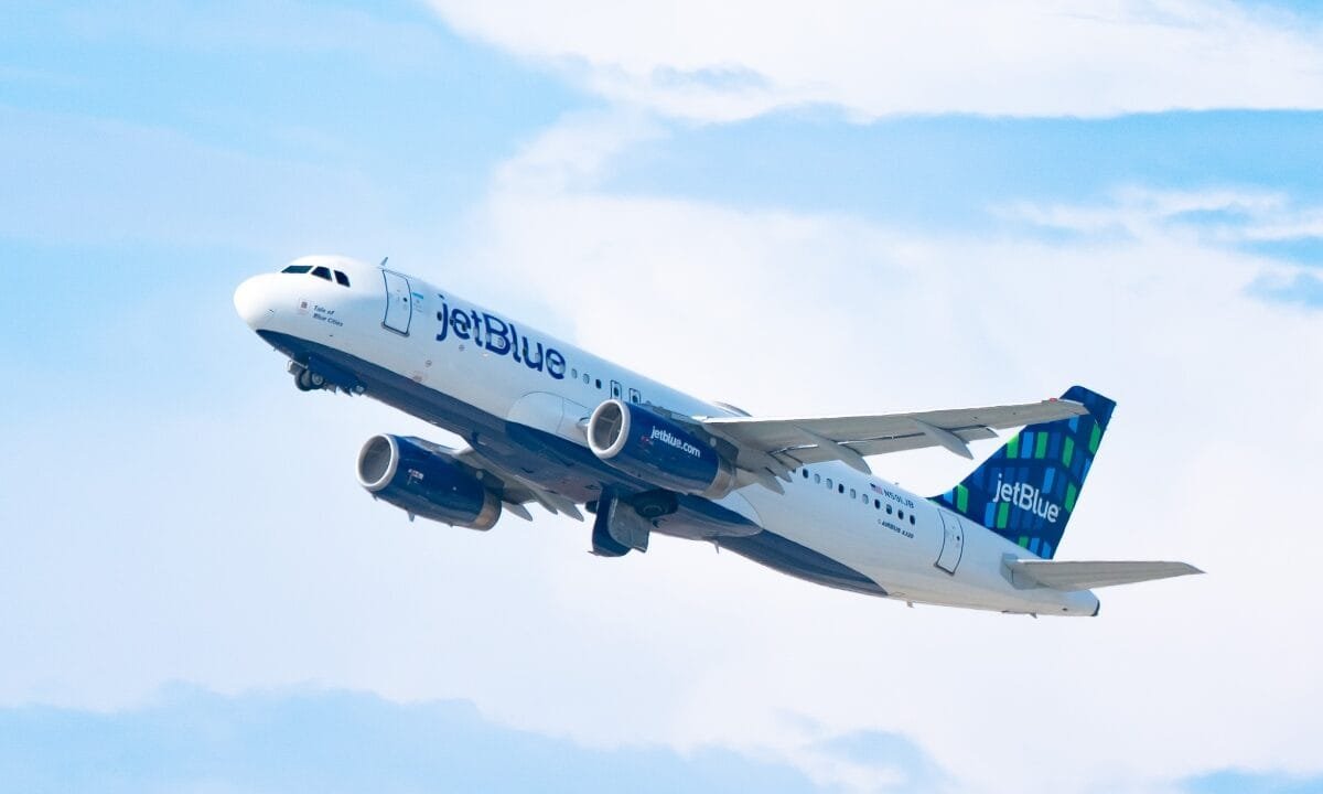 JetBlue flight turns back after striking a coyote on the runway: ‘We thought it was a joke’