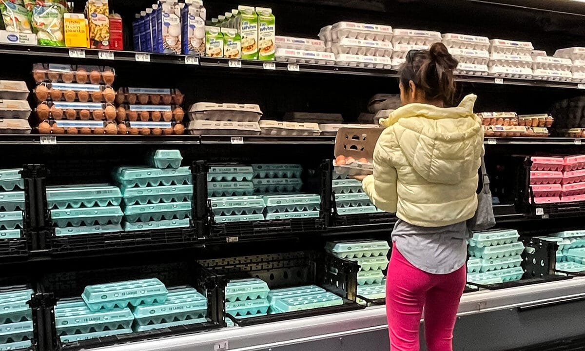 February inflation breakdown: Where are prices rising and falling the fastest?