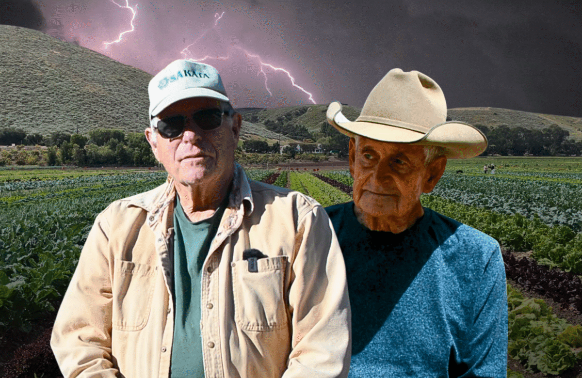 The $1,600 lettuce: California growers warn of ‘master plan’ strangling family farms