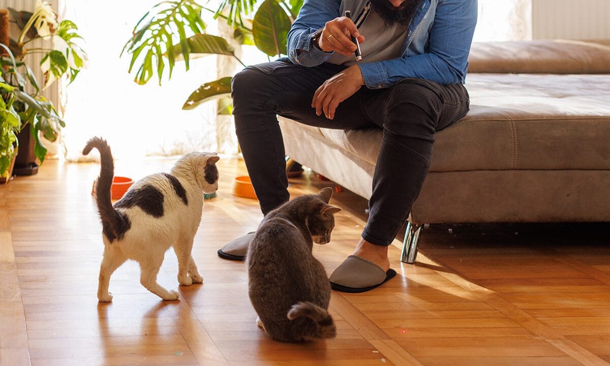 More than 50,000 toys pulled from shelves over batteries that pose ‘death’ risk to children