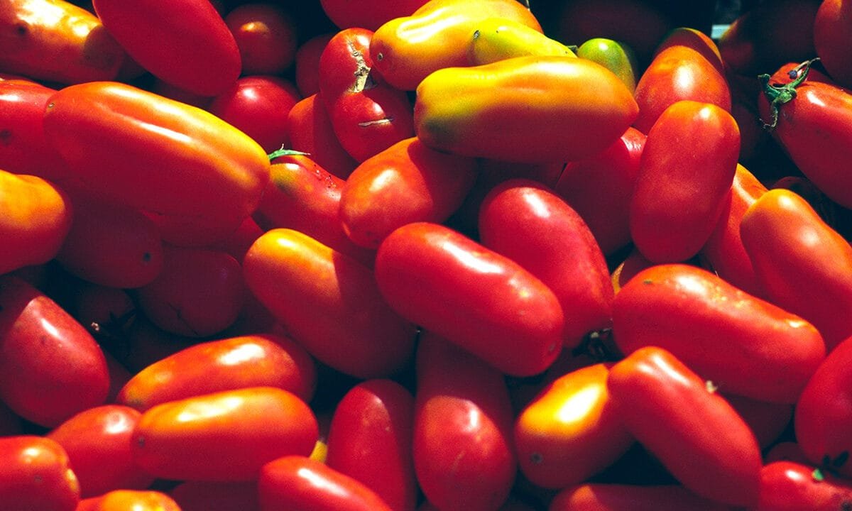Popular food brand Cento accused of ‘tomato fraud’ in lawsuit